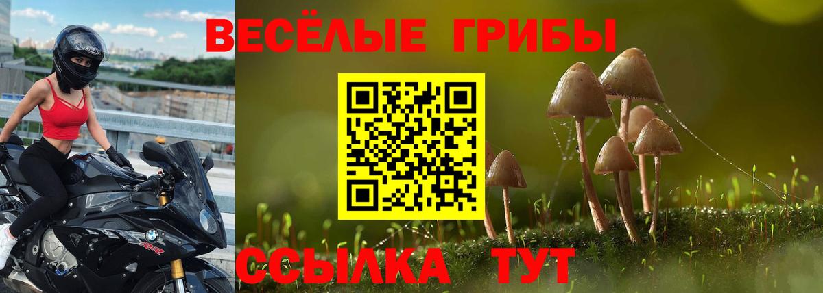 Галлюциногенные грибы MAGIC MUSHROOMS  Вход с VPN  Коммунар 